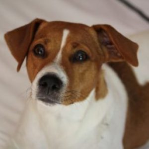 Profile photo of Anja
