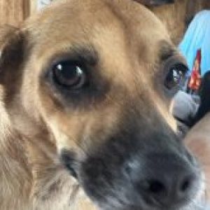 Profile photo of Violet